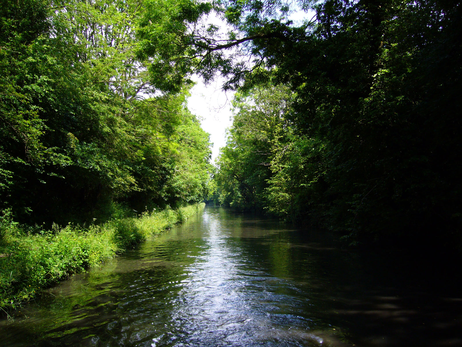 Worcester and Birmingham Canal